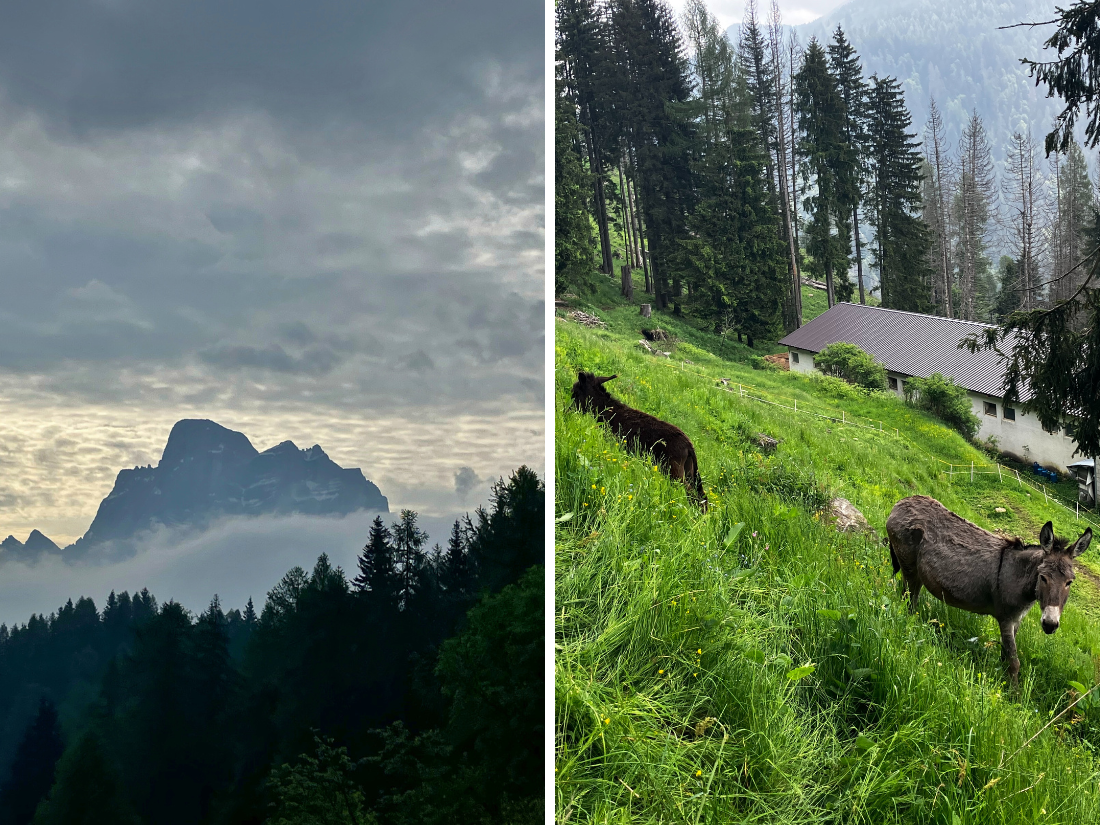 Dolomiti extreme trail 2025 5