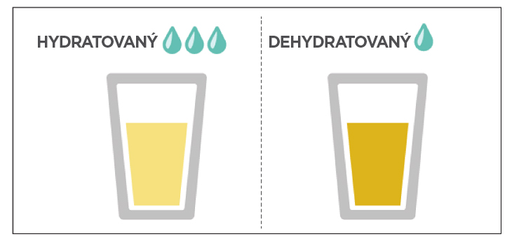 Úroveň hydratácie podľa farby moču